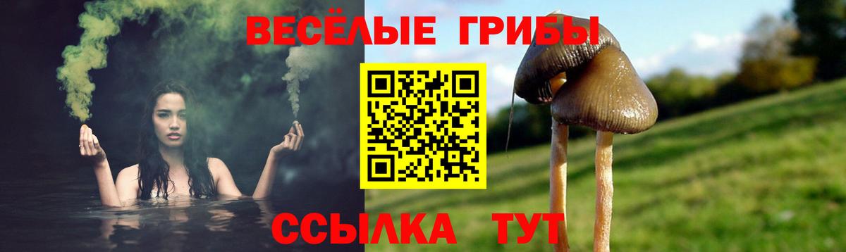 Галлюциногенные грибы MAGIC MUSHROOMS Химки